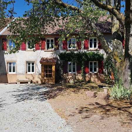 Le Jardin Des Gouttes Bed & Breakfast Rougegoutte ภายนอก รูปภาพ