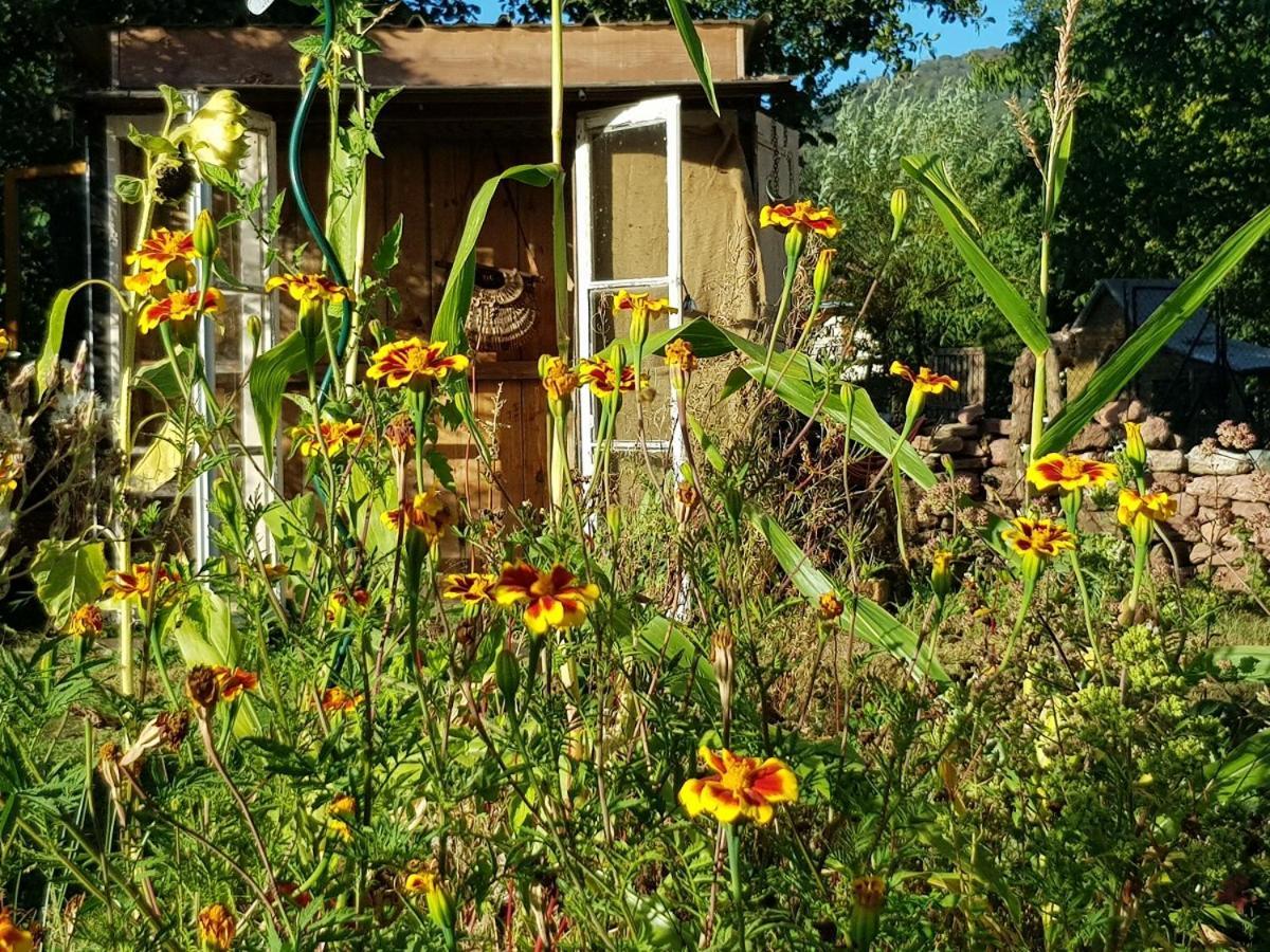 Le Jardin Des Gouttes Bed & Breakfast Rougegoutte ภายนอก รูปภาพ