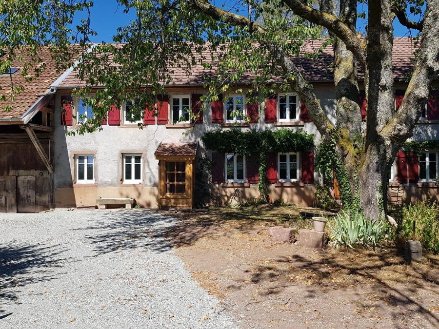 Le Jardin Des Gouttes Bed & Breakfast Rougegoutte ภายนอก รูปภาพ